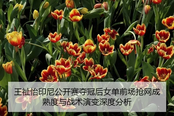 王祉怡印尼公开赛夺冠后女单前场抢网成熟度与战术演变深度分析
