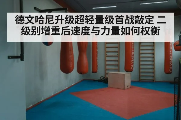 德文哈尼升级超轻量级首战敲定 二级别增重后速度与力量如何权衡